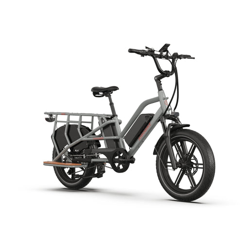 vélo cargo électrique